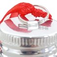 thumbnail image 2 of Hummingbird Wild Bird Feeder Plastic Bird Feeding Jar Transparente (Tipo de bombilla), 2 of 8