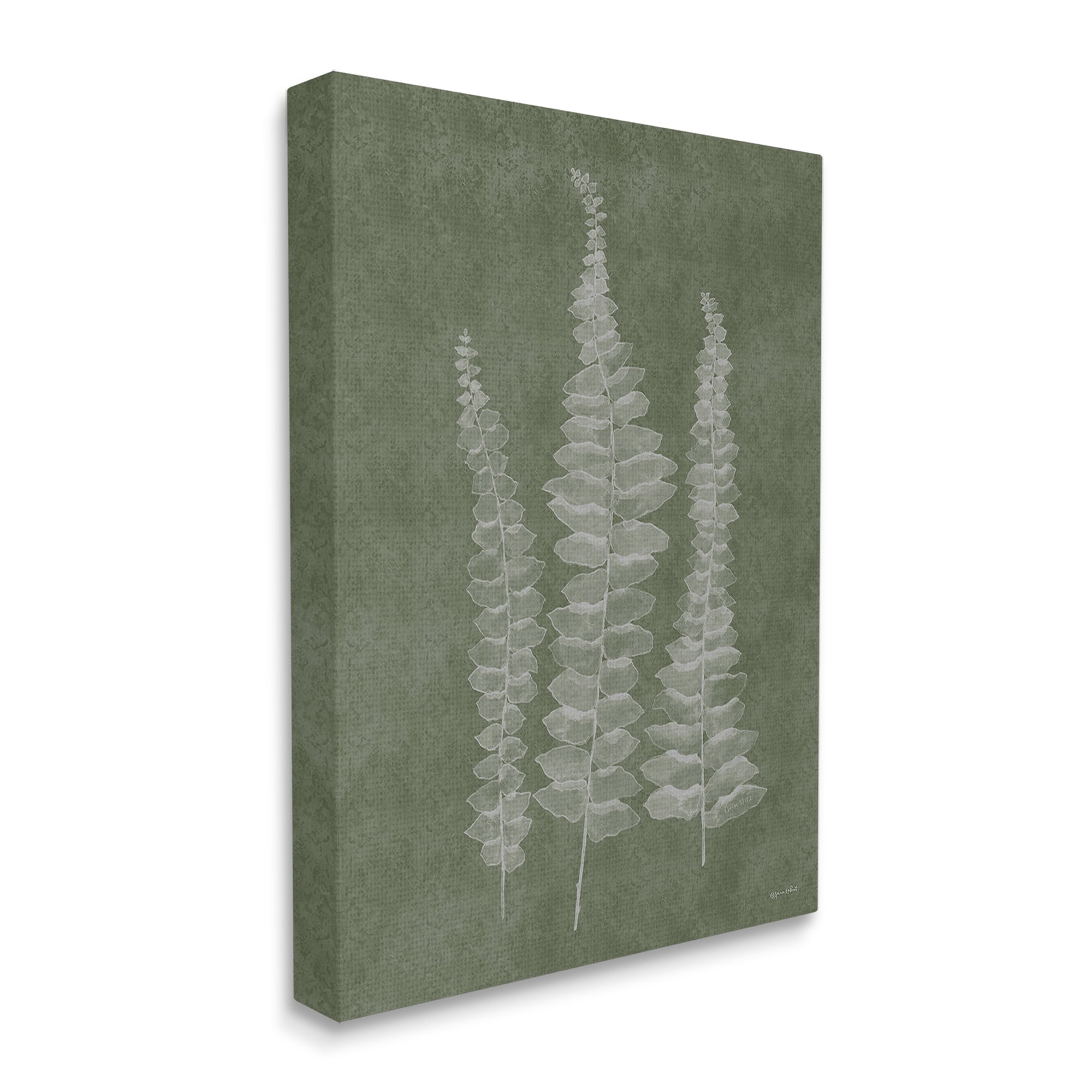 Stupell Industries Green Rustic Botanicals Botanical & Floral Painting Gallery Wrapped Canvas Art Print Wall Art, 36 x 48