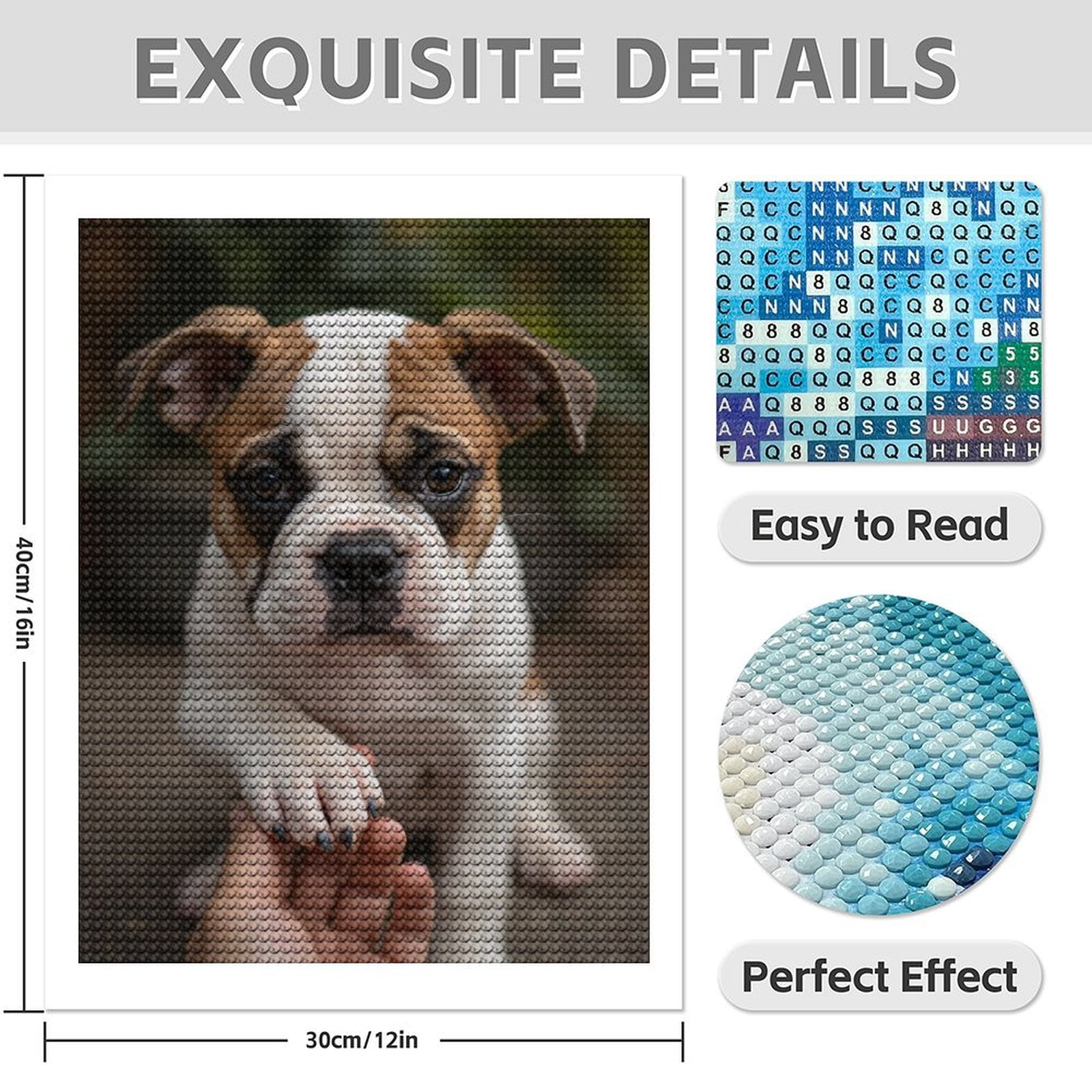 Diamond Art Kit for Adults, Adorable Puppy Paw Shake Diamond Painting for Adults Beginners, 5D DIY Diamond Art Painting Kits, Colorful Diamond Painting Craft for Home Decor 12x16