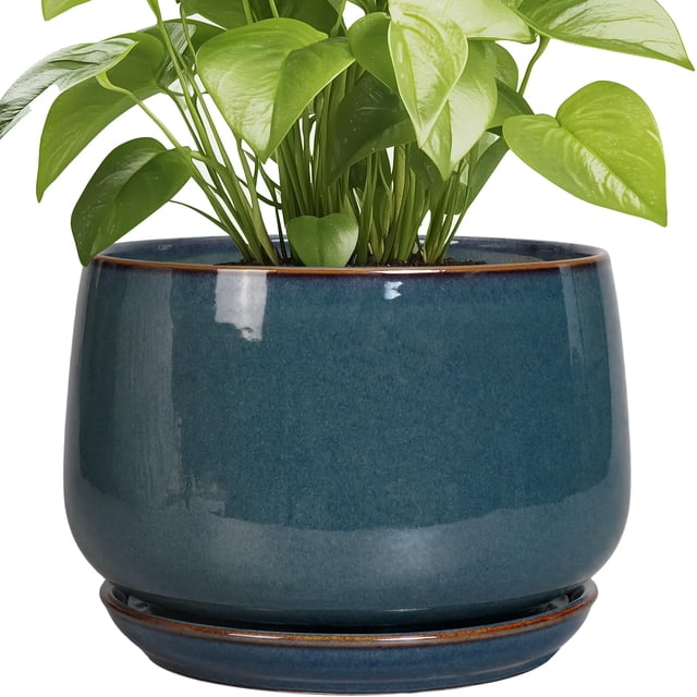 Maceta de cerámica G EPGardening, redonda, 9 pulgadas, color azul retro
