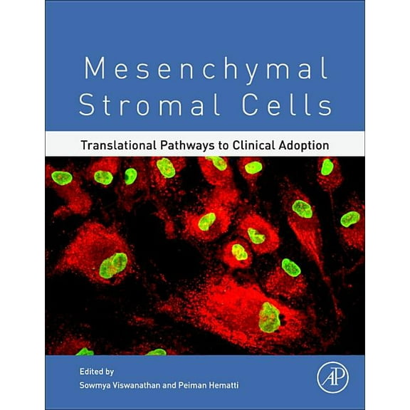 Mesenchymal Stromal Cells: Translational Pathways to Clinical Adoption, (Paperback)