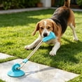 thumbnail image 6 of Self Playing Dog Tug Toy, New Upgrade Dog Suction Cup Toy - Tug of War Style with Rope, Sturdy for Tough Chewers, Wear-Resistant Pull Toys for Small Medium and Large Dog (1PC, Blue), 6 of 8