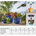 thumbnail image 4 of Fiskars 20-56406 6 Po Ariana Planteur Thym Vert, 4 of 5