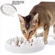 thumbnail image 4 of Cuenco para gatos, reduce el ritmo de alimentación de gatos y perros para evitar asfixia y comer en exceso, 4 of 5