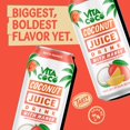 thumbnail image 3 of Vita Coco Coconut Juice, Mango | Bold, Tropical Taste | Natural Electrolytes | Sweet, Refreshing Hydration | 16.9 oz can (Pack of 12), 3 of 6