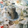 thumbnail image 4 of Cute Cat Christmas Glass Ornaments Collection, Xmas Tree Kitten Ball Ornament, Vivid Animal Decoration, for Cats Lovers, Party Centerpiece Mantel, Fall Winter Home Decor, 4 of 5