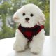 thumbnail image 3 of Ropa cálida de invierno para mascotas con chaleco grueso y suave de lana a cuadros para perros, 3 of 5