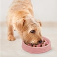 thumbnail image 3 of Comedero Antilento Outward Hound Rosa Pequeño para Perro, 3 of 7
