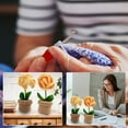 thumbnail image 3 of Potted Flowers Crochet Kit Complete Crochet Kit for Beginners Potted Flowers Kit for Beginers and Experts with Step-by-Step Video Tutorials, 3 of 8