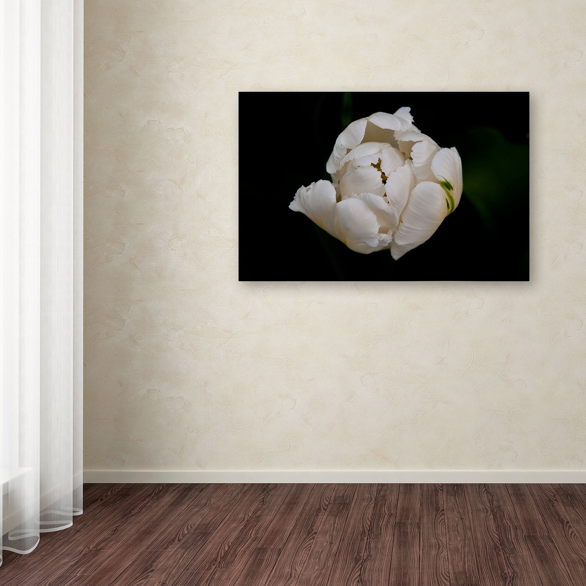 "White Parrot Tulip" Canvas Art by Kurt Shaffer