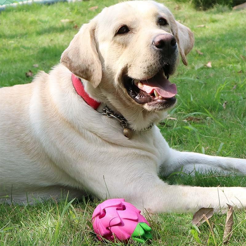 Dog Treat Dispensing Toys, Dispensing Puzzle Toy for Aggressive Chewers, Rubber Treat Dispenser, Interactive Stimulation Dog Food Toys, Pitaya Shape