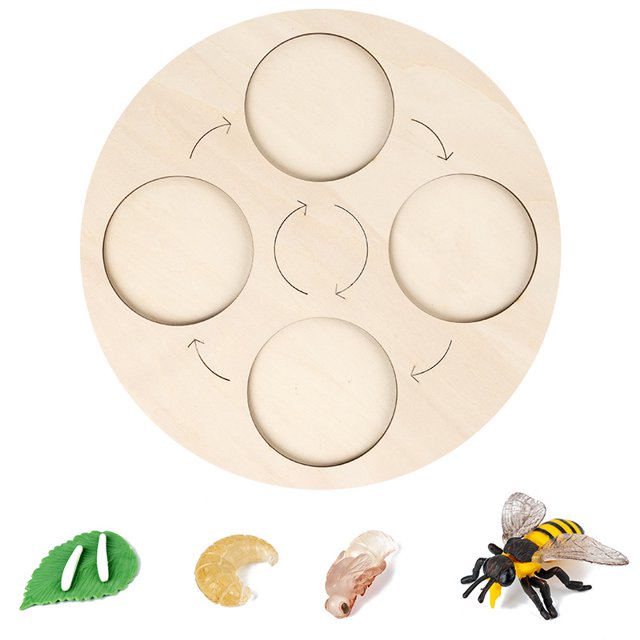 Tablero de madera para el ciclo de vida de los animales, juguetes para niños, material didáctico, juego de modelo de ciclo de crecimiento de plantas, juguetes educativos de ciencias de la vida