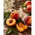 thumbnail image 2 of Shoots, Roots & Leather Boots Juicy Peach Room Spray 4 Oz, 2 of 4