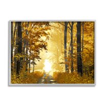 Stupell Industries Autumn Path Landscape Nature Painting Gray Framed Art Print Wall Art, 30 x 24