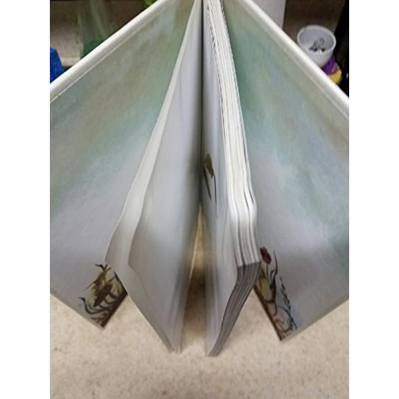 Pre-Owned In the Realm of the Never Fairies: The Secret World of Pixie Holow (Disney Fairies) Paperback