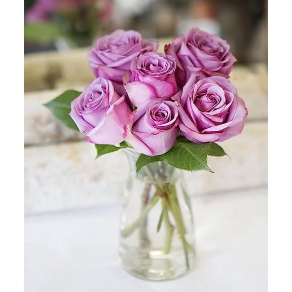 KaBloom : Bouquet of Fresh 6 Purple Roses in a Glass Vase, Next-Day Delivery, Gift for all occasions