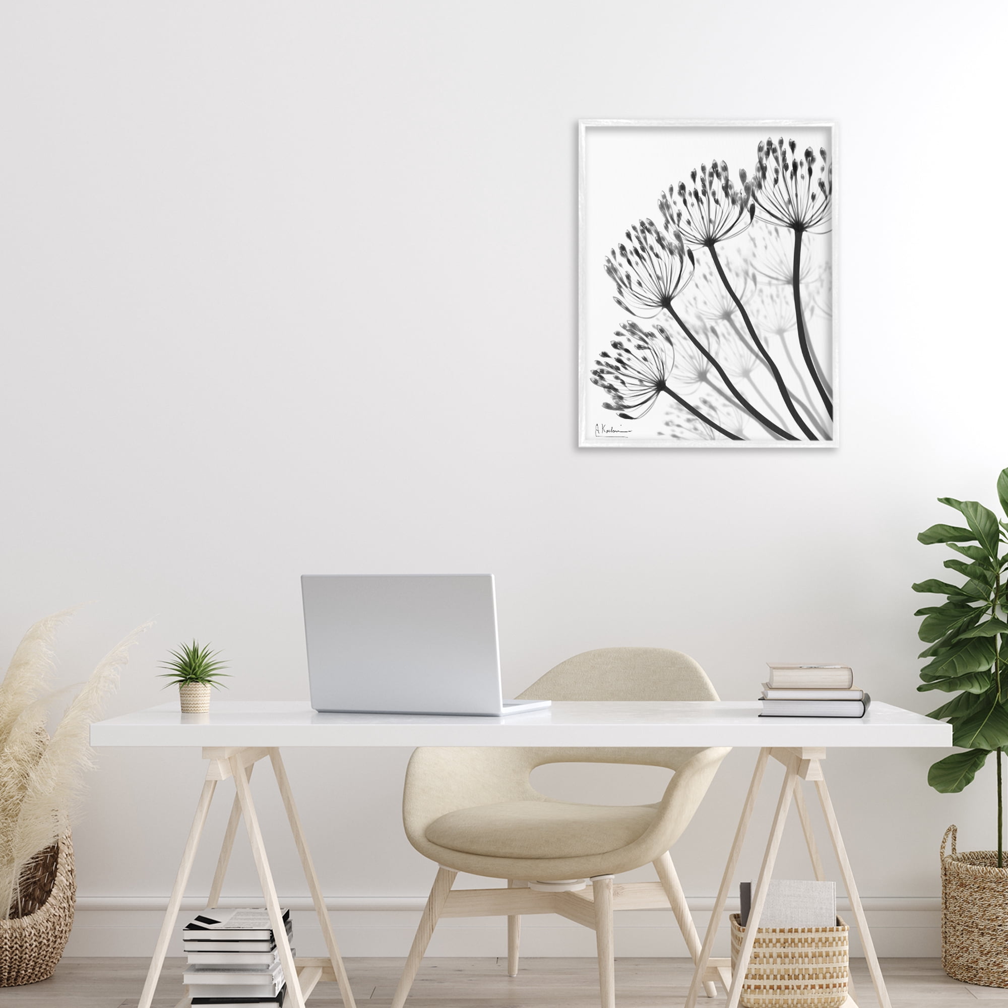 Stupell Industries Floral Fan Dandelions White Framed Giclee Art, design by Albert Koetsier