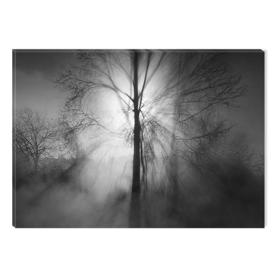 Startonight Canvas Wall Art Black and White Abstract The Power of Light Tree Nature Landscape, Dual View Surprise Artwork Framed Wall Art 100% Original Art Painting 23.62 X 35.43 inch