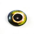 thumbnail image 2 of Yellow and Green Fish Glass Eyes, 2 of 5