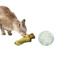 thumbnail image 2 of 2PCS Cat Ball Toy Crinkle Ball in Cage Interactive Plush Fish Cat Toy Catnip Toy, 2 of 10