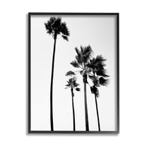 Stupell Industries Looming Palm Trees Clear Summer Sky Photography Photograph Black Framed Art Print Wall Art, Design by Amelia Myers