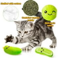 thumbnail image 5 of Belanttega 5 Piece Sour Cucumber Catnip Set - Fun Cat Bite Toy with Catnip, Indoor Cat Interactive Play Kit, Help Alone Cat Exercise, Pet Supplies for Cat Families, 5 of 6