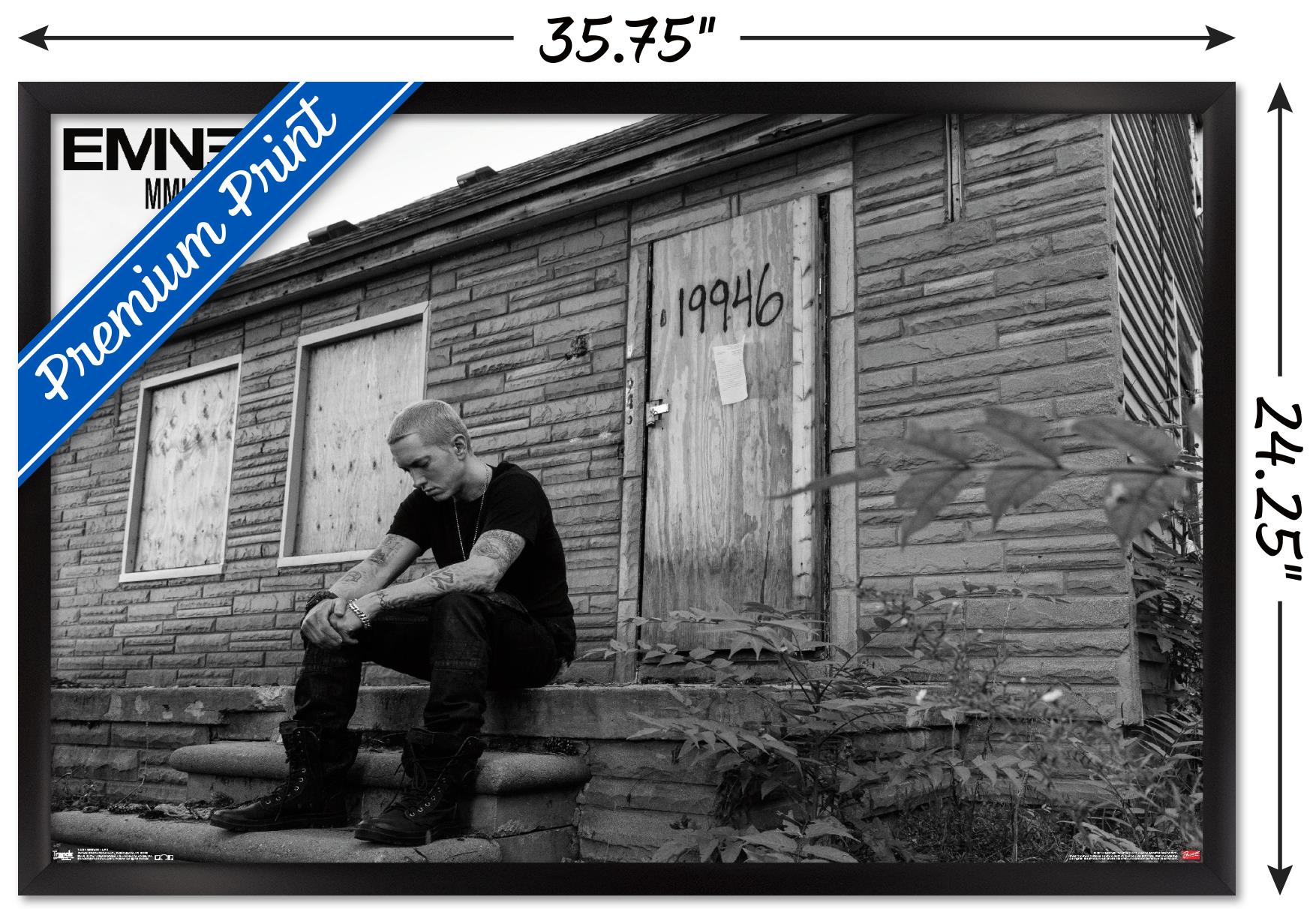 Eminem - LP 2 Wall Poster, 22.375" x 34", Framed - image 3 of 6