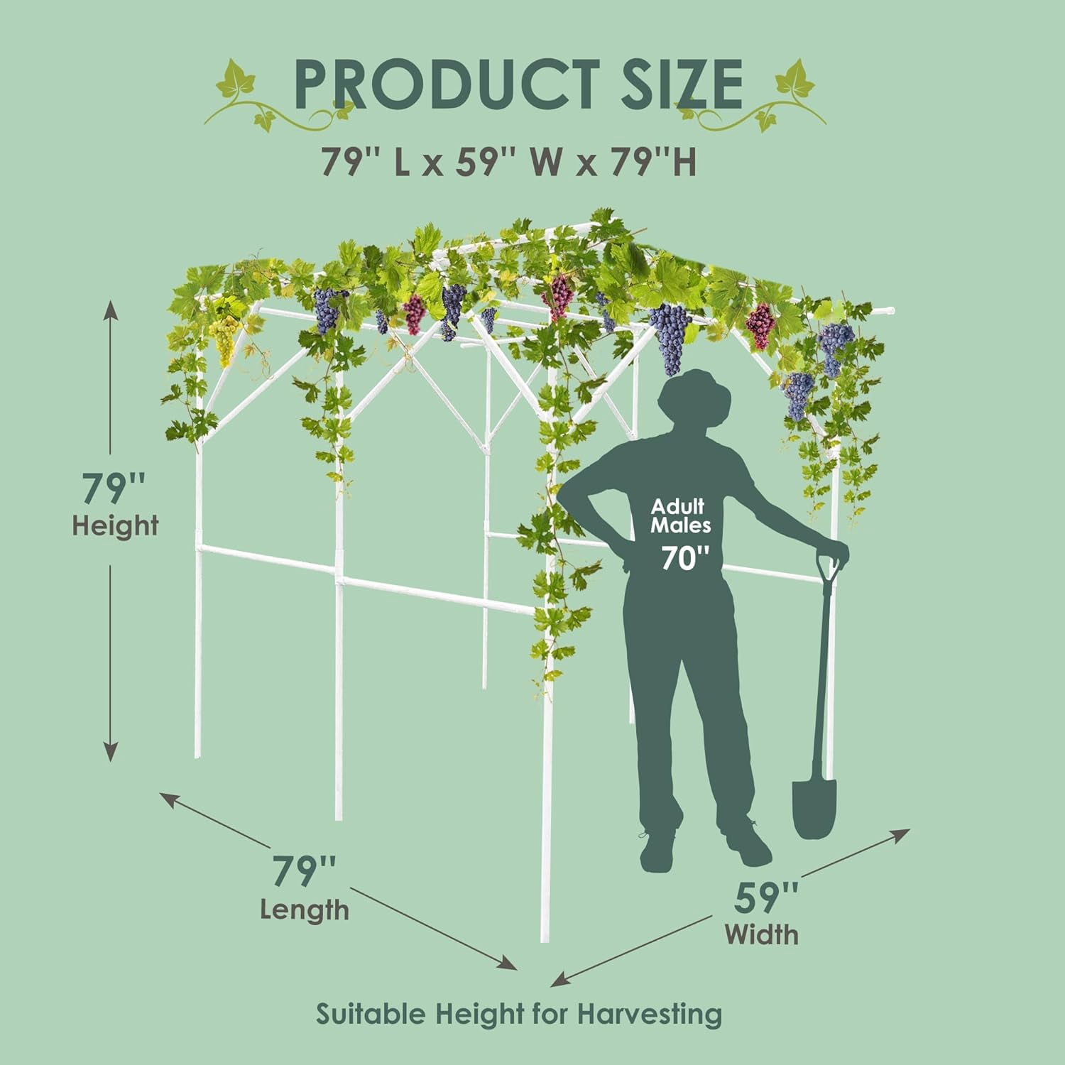 Grape Vine Trellis - Large Outdoor Garden Arch Trellis for Climbing Plants - Size: 79 * 59 * 79 inches, Plant Support Rack Trellises for Vegetables Fruits Cucumber Pea Bean, White