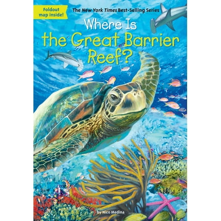 Where Is the Great Barrier Reef? (Best Snorkeling Great Barrier Reef 2019)