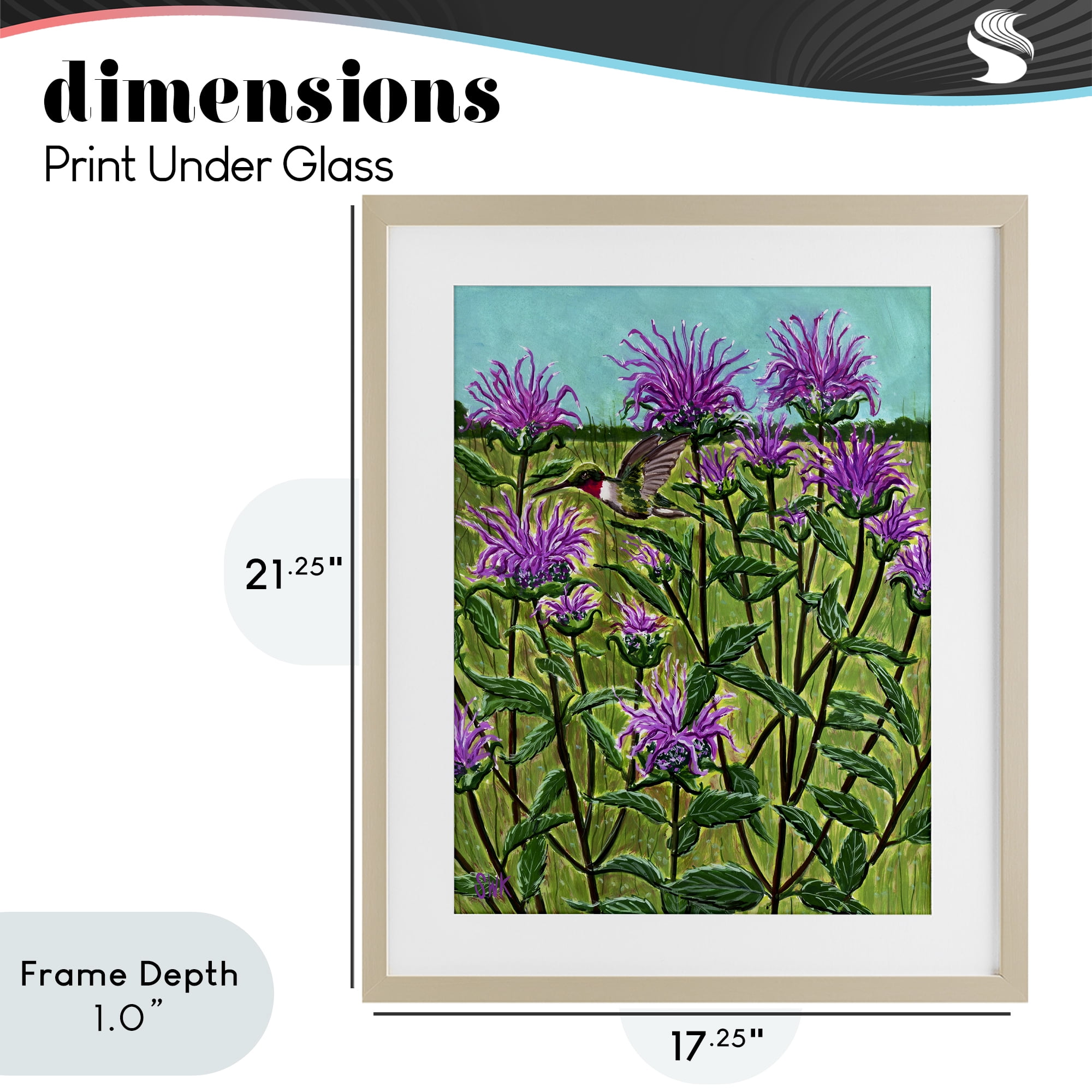 Stupell Industries Ruby Throated Hummingbird & Beebalm Birch Framed Print Under Glass, design by Sarah Waldron Kimball
