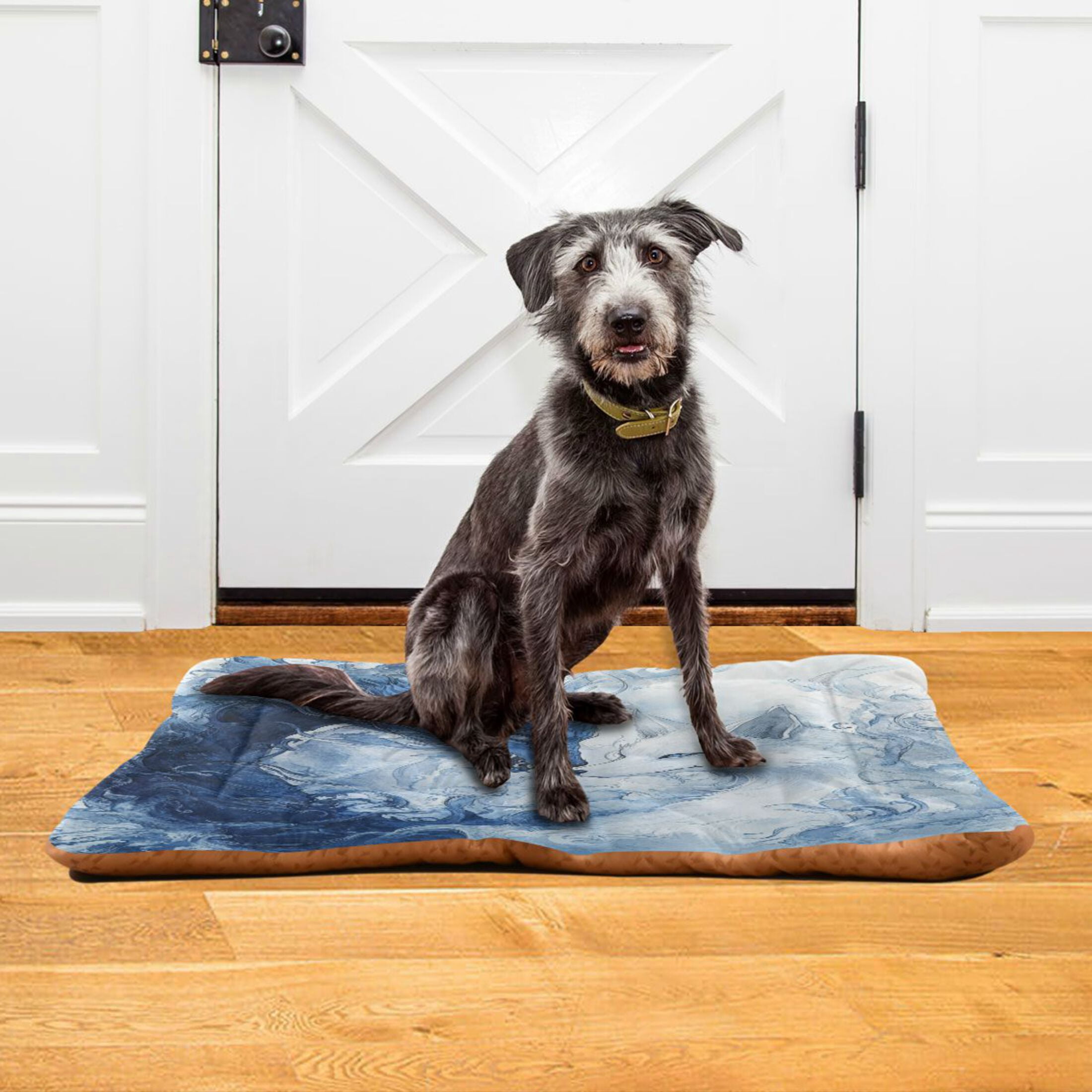 Qxltty Blue Dragon and Fox Ped Pad Wear-resistant and Hard to Bite Through Sleeping Pad for Small Medium Large Dogs Winter Pet Bed 36×24in