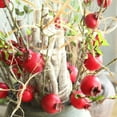 thumbnail image 4 of EUDIDV Decorative Faux Flowers Fake Artificial Rose Fruit Pomegranate Berries Bouquet Floral Garden Home RD Artificial Flowers, 4 of 6