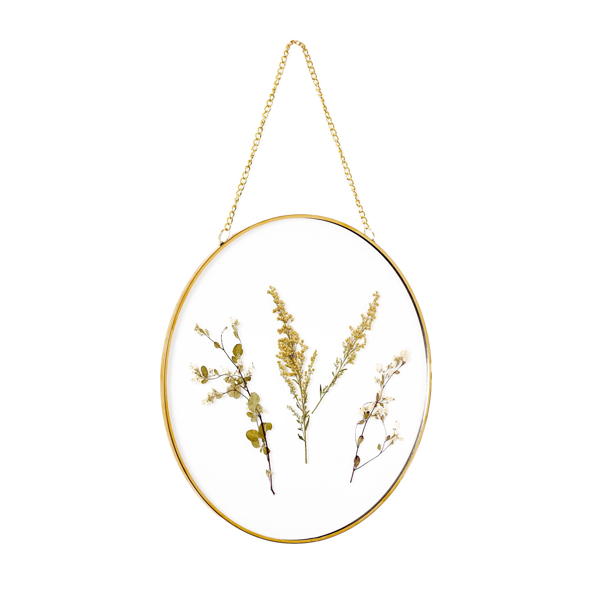 (3 pack) Mainstays Hanging Gold Circular Framed Glass Dried Pressed Floral Wall Decor, 9x9