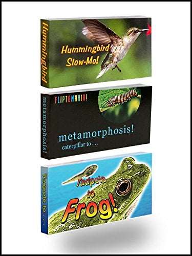 Butterfly and Frog Flip Books Hummingbird Fliptomania Nature Flipbook 3-Pack