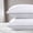 Double Stitch White-Queen, variant on Standard Size White Decorative Pillow Set of 2