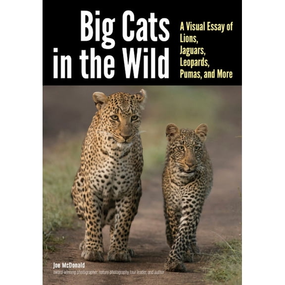 Big Cats in the Wild: A Visual Essay of Lions, Jaguars, Leopards, Pumas, and More (Paperback)