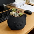 thumbnail image 5 of VAIFTILNO Pig Planter Pot, Cute Succulents Pot with Drainage Hole for Indoor, Outdoor Plants, Home Decor Gift (More Colors), 5 of 6