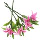 thumbnail image 1 of unbranded 4Ud Decorativo Artificial Rosado Fácil De Limpiar Y Usar En Bodas Y Celebraciones, 1 of 6