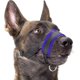thumbnail image 1 of Bozal para perro, acolchado suave de nailon, lazo ajustable, negro, kaili Sencillez, 1 of 5