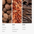 thumbnail image 4 of Aceite difusor de aromas Aroma360 Hotel Collection Midnight in Paris, 4 of 7