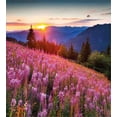 thumbnail image 3 of Countryside Duvet Cover Set, Idyllic Spring Meadow on the Mountains with Flowers Rural Sunrise Landscape, Decorative 3 Piece Bedding Set with 2 Pillow Shams, Queen Size, Pink Blue, by Ambesonne, 3 of 3