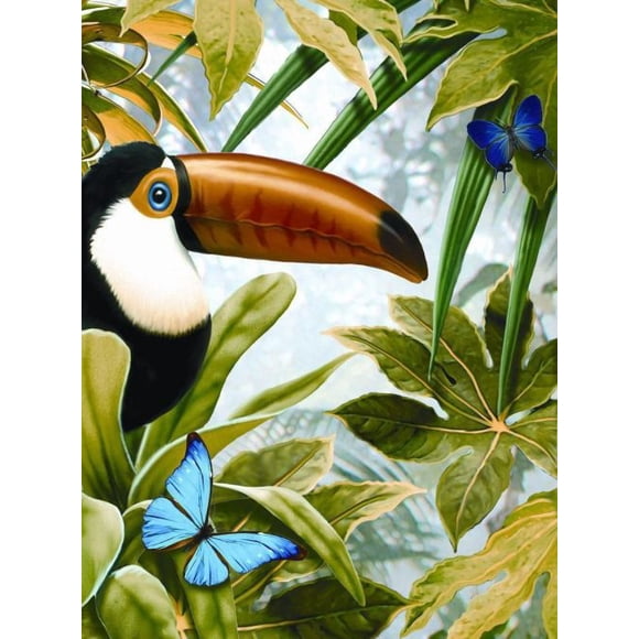 Jungle Toucan Painting By Number Art Kit
