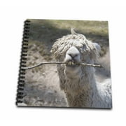 3dRose Alpaca chewing on stick - Mini Notepad, 4 by 4-inch