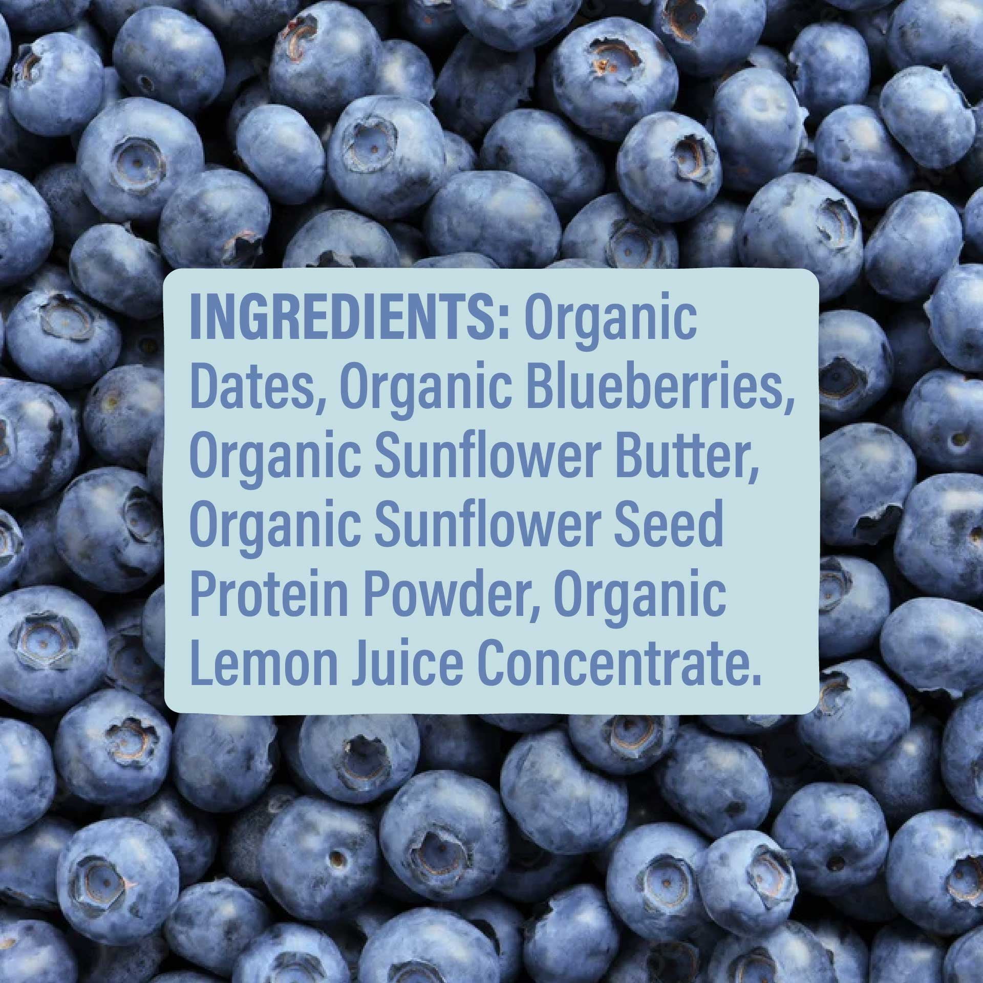 Skout Organic Blueberry Blast Real Kids Snack Bars (18 Pack) | Kids Snack Bars | No Refined Sugar | Vegan | Gluten, Dairy, Peanut, Tree Nut & Soy Free