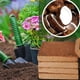 thumbnail image 4 of 10pcs Organic coconut fiber for plants, organic coconut bricks, 4 of 5