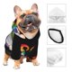 thumbnail image 3 of Fotbe Happy Pride Gnome Sudadera con Estampado para Perros Pequeños – Suéter con Capucha para Mascotas, Tela Suave de Forro Polar con Bolsillo-X-Small, 3 of 7