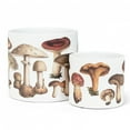 thumbnail image 3 of Small Botanical Mushroom Planter, 3 of 5