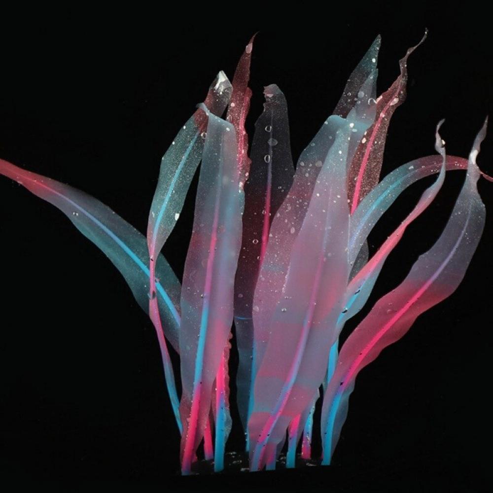 Buy Sonbest Aquarium Decorations Plants Glowing Effect Kelp Fish Tank