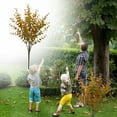 thumbnail image 2 of WUJDF 1Pc Artificial Fern Boston Plants,Plastic Shrubs Grass Fake Greenery Ferns Bushes for Home Garden Office Kitchen Outdoor Indoor Uv Resistant Wedding Diy Decor Planter Filler Home Decoration 14", 2 of 6