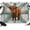 Brown, Teal, Grey, Beige, variant on 7x5ft Photo Backdrop, Vintage Cow Teal Soft Polyester Backdrop Curtains Photography Backdrops, Farmhouse Cabin Wooden Cabin Brushed Background for Photoshoots Studio Video Portrait Parties